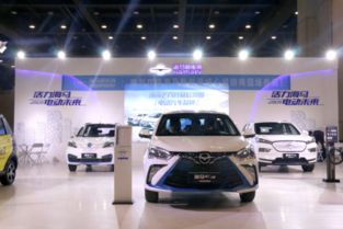 销量王新爱尚EV领衔 海马新能源E系列车型亮相2018郑州国际车展